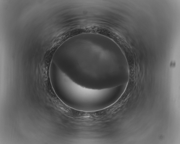 X0000090761013200707201459