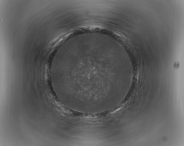 X0000090761014200707201459