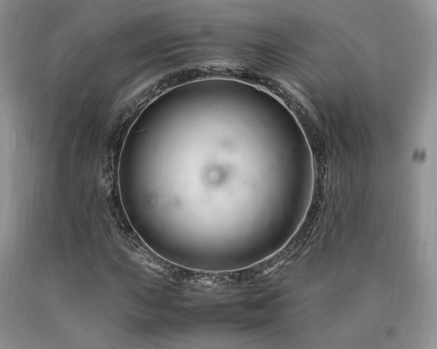 X0000090761015200707201459