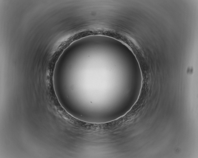 X0000090761016200707201459