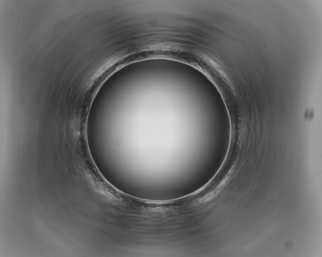 X0000090761017200707201459