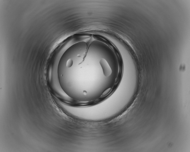 X0000090761018200707201459