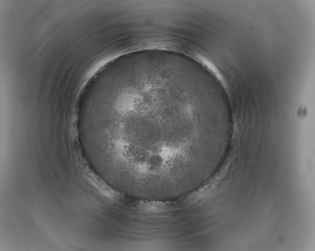 X0000090761019200707201459