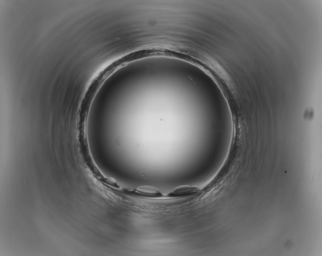 X0000090761020200707201459