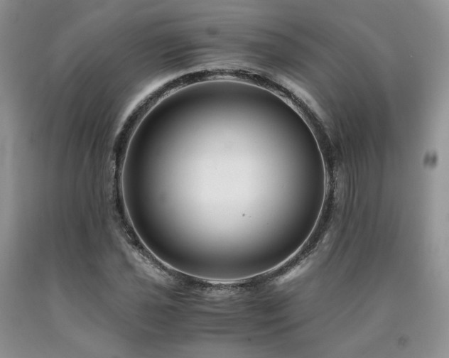 X0000090761021200707201459