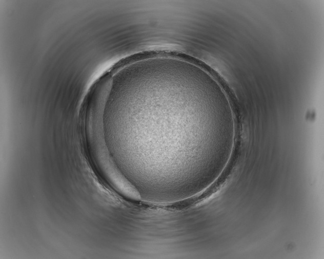 X0000090761022200707201459