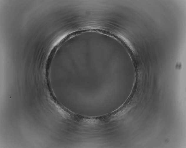 X0000090761023200707201459