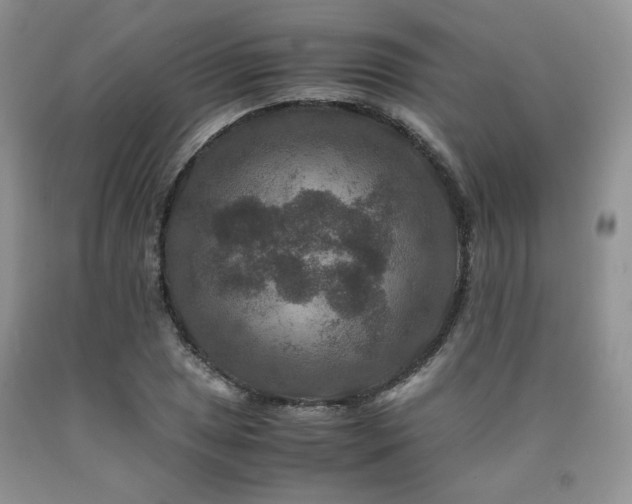 X0000090761025200707201459