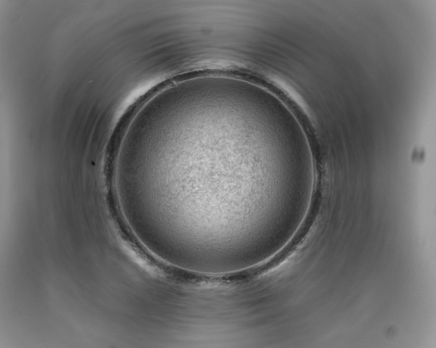 X0000090761026200707201459