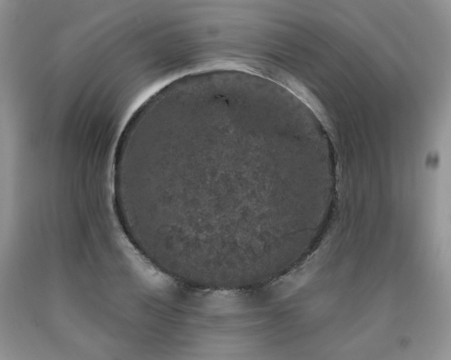 X0000090761028200707201459