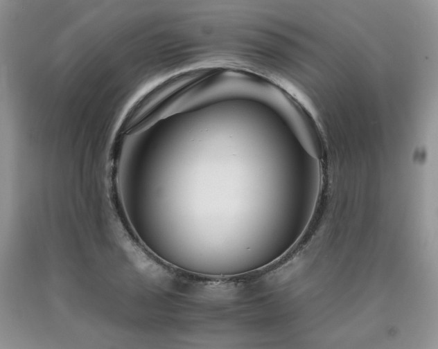 X0000090761029200707201459