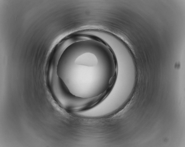 X0000090761030200707201459