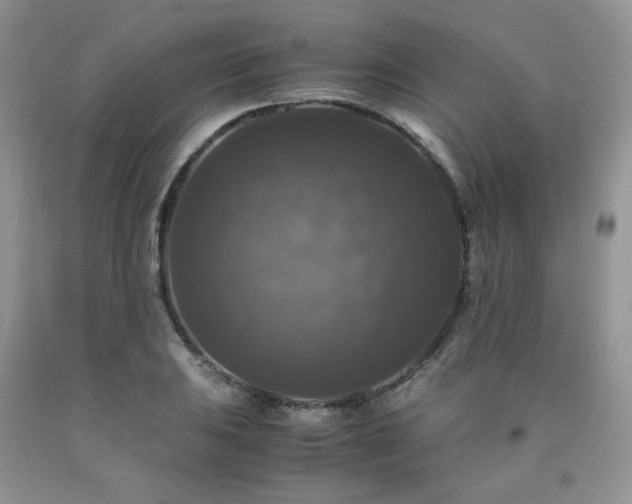 X0000090761031200707201459