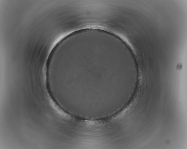 X0000090761032200707201459