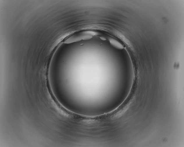 X0000090761033200707201459