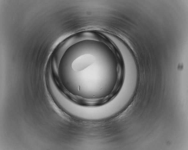 X0000090761034200707201459