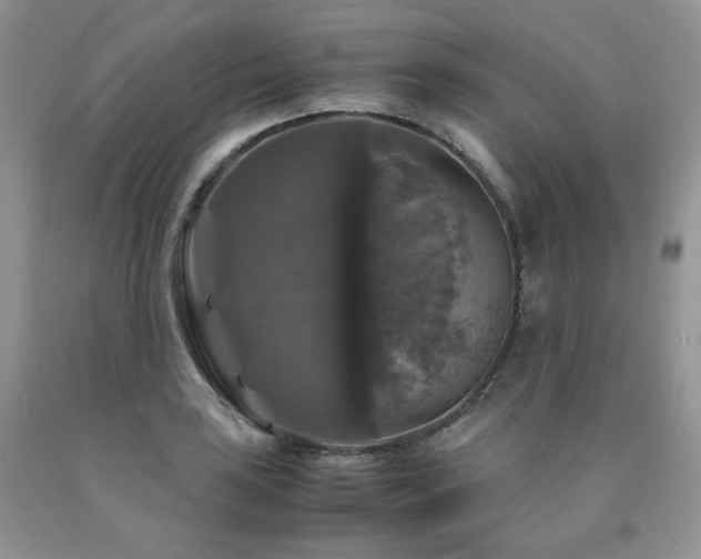 X0000090761035200707201459