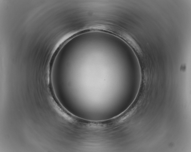 X0000090761036200707201459