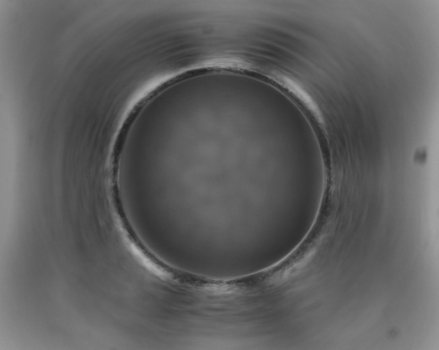 X0000090761037200707201459