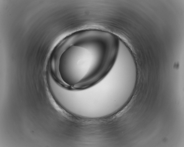 X0000090761038200707201459