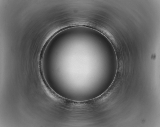 X0000090761039200707201459