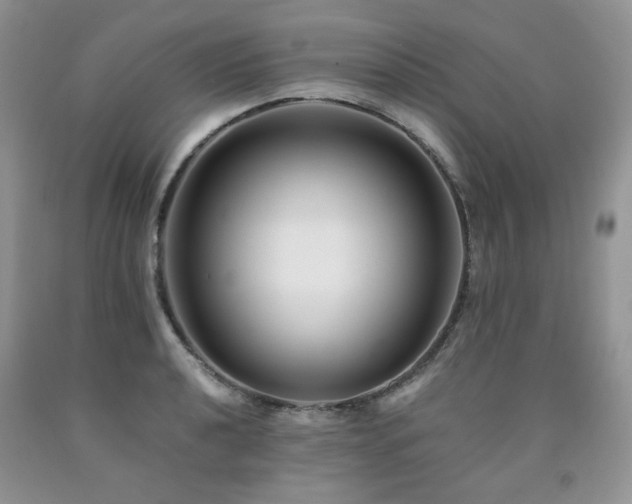 X0000090761040200707201459