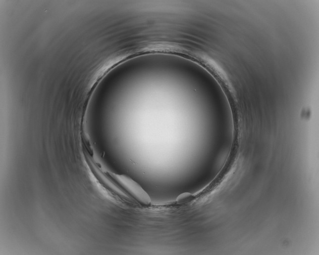 X0000090761041200707201459