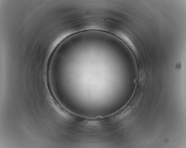 X0000090761043200707201459