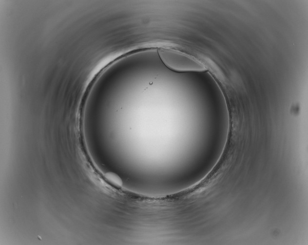 X0000090761044200707201459