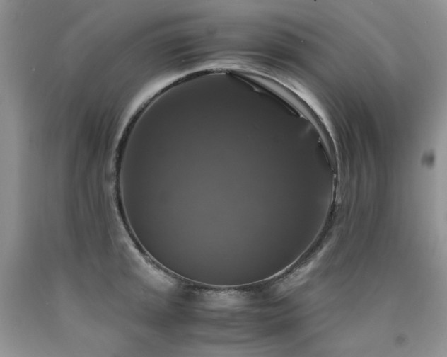 X0000090761045200707201459