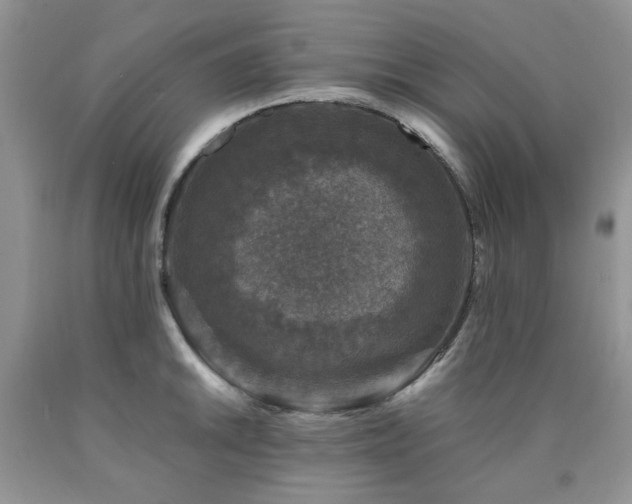 X0000090761046200707201459