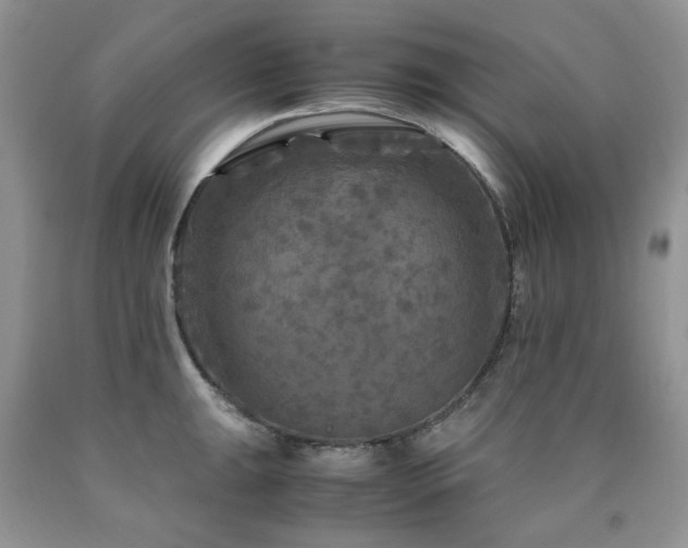 X0000090761047200707201459