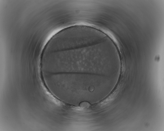 X0000090761048200707201459