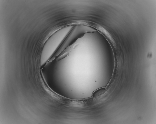 X0000090761049200707201459