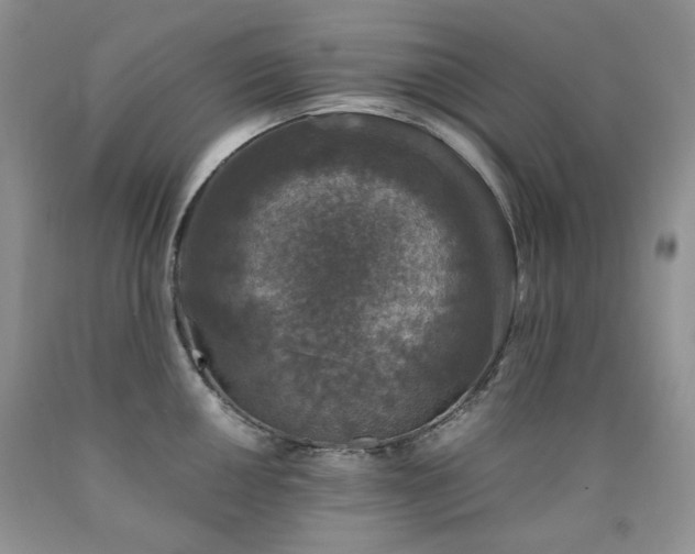 X0000090761050200707201459