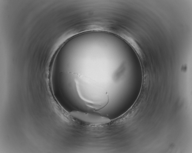 X0000090761051200707201459