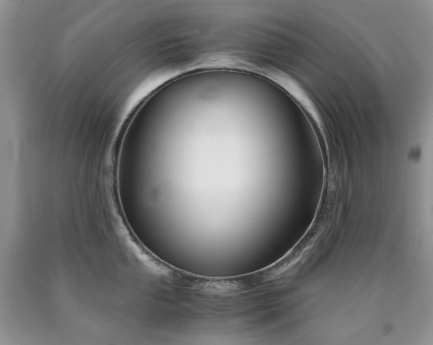 X0000090761053200707201459