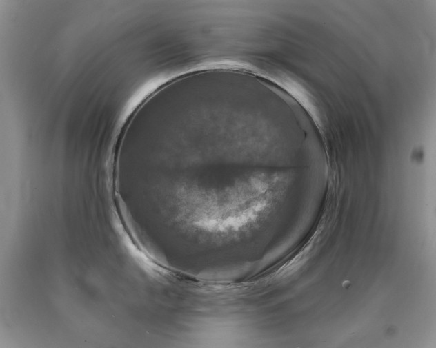 X0000090761054200707201459