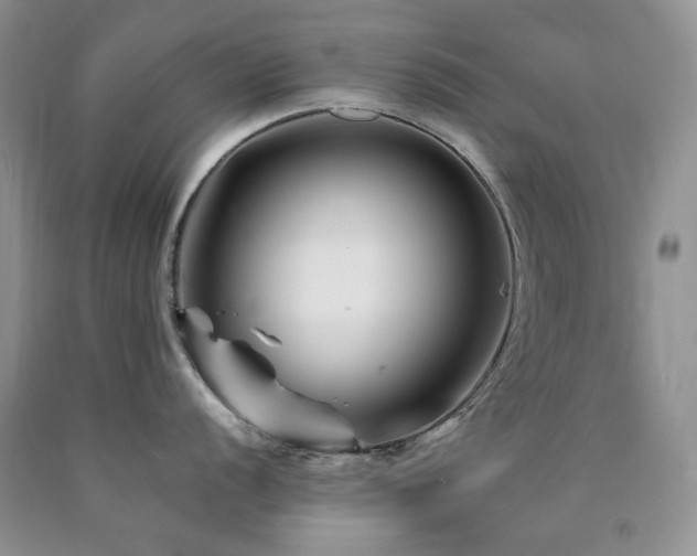 X0000090761056200707201459