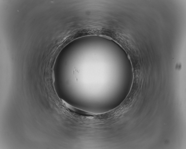 X0000090761057200707201459