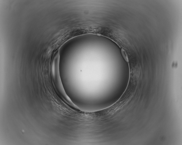 X0000090761058200707201459