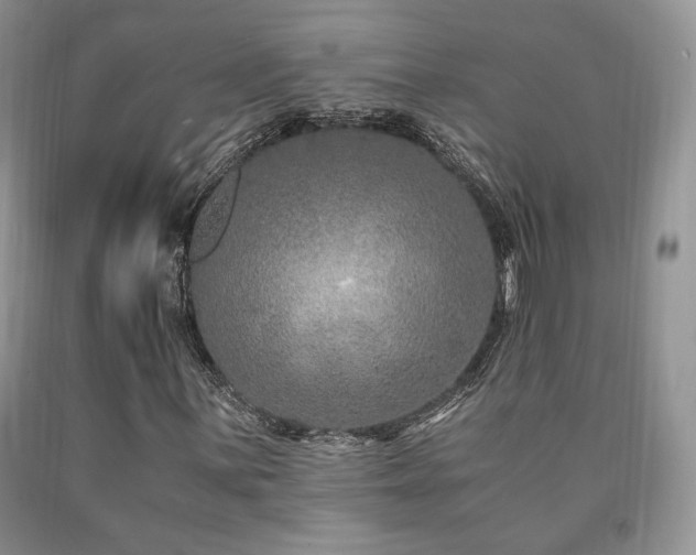 X0000090761059200707201459