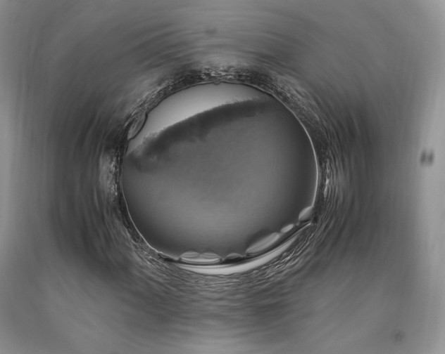 X0000090761060200707201459