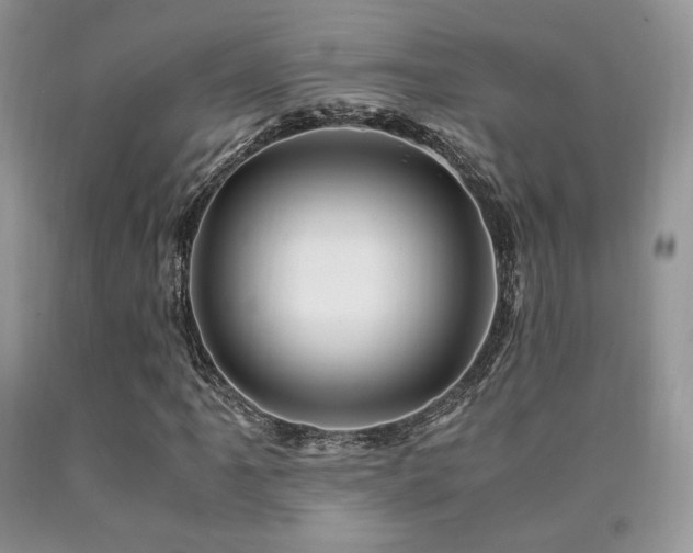 X0000090761061200707201459