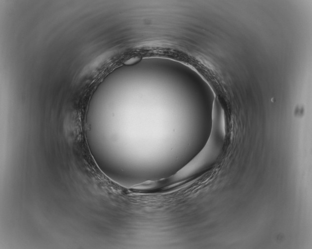 X0000090761062200707201458