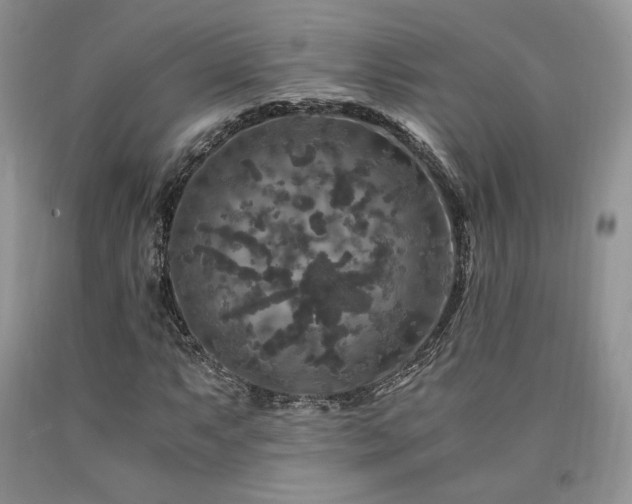 X0000090761063200707201458