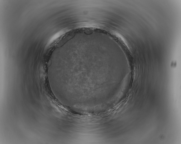 X0000090761064200707201458