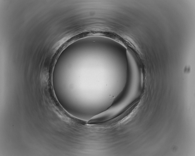 X0000090761065200707201458