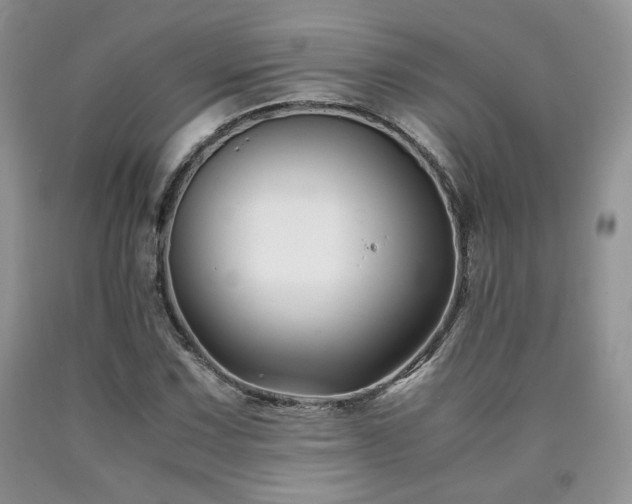 X0000090761067200707201458