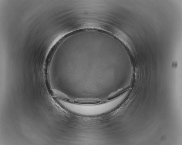 X0000090761068200707201458